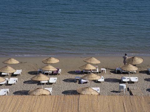 Shots from the Beach